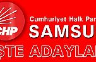 CHP SAMSUN MİLLETVEKİLİ ADAYLARI