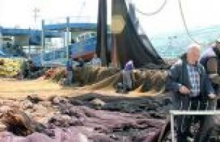 DENİZLERDE AV YASAĞI BAŞLIYOR