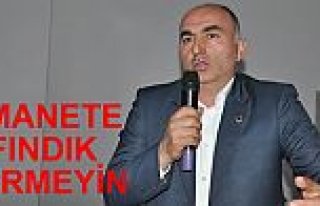 FINDIK KONSEYİ ÇİFTÇİNİN KANINI EMİYOR