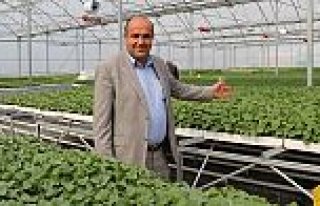 KARADENİZİN EN BÜYÜK FİDE ÜRETİM TESİSİNDE...