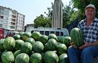 Karpuz Fiyatı Düştü Ama Alıcısı Yok