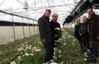 KAYMAKAM ARSLAN KARADENİZ BÖLGESİNİN EN BÜYÜK...