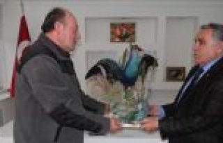 ‘KESİNLİKLE DOĞADAKİ HAYVANLARA ZARAR VERMEYİN’