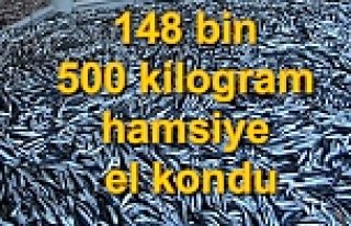 Samsun'da 148 bin 500 kilogram hamsiye el kondu