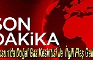 Samsun'daki Doğal Gaz Kesintisi İle İlgili Flaş...