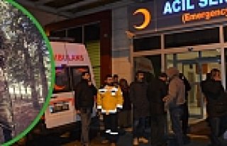 ŞEHİT ATEŞİ ORDU’YA DÜŞTÜ