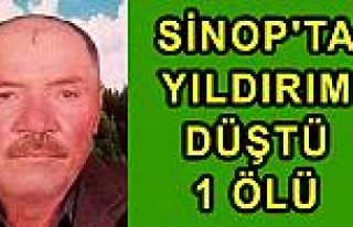 Sinop'ta yıldırım düşmesi sonucu 1 kişi öldü