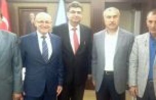 Terme ve Havza'da Eğitim Atağı