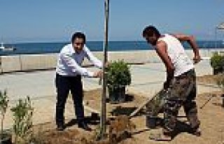 YAKAKENT KENT MEYDANINDA SONA GELİNDİ