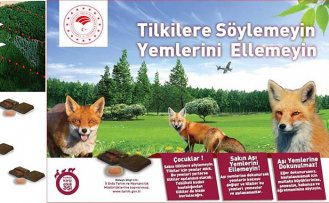 Havadan Aşılama Çalışması Yeniden Başlıyor