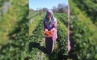 Çiftçi aile aldıkları hibeyle çilek üreterek ürün çeşitliliğini artırdı