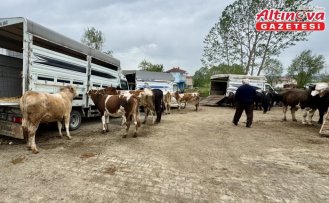 Eflani'de kurbanlık satışları sürüyor