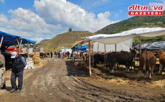 Bayat ilçesinde kurban pazarında hareketlilik sürüyor