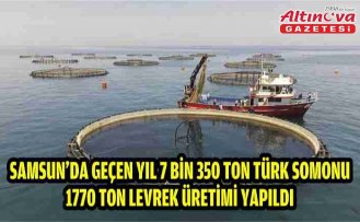 Samsun'da geçen yıl 7 bin 350 ton Türk somonu, 1770 ton levrek üretimi yapıldı