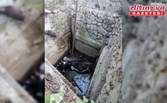 Çorum’da kuyuya düşen inek kurtarıldı