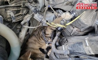 Çorum'da minibüsün motoruna giren kedi itfaiye ekiplerince kurtarıldı