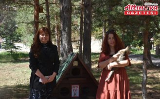 Gümüşhane Üniversitesi'nde “Kedi Evleri“ kuruldu