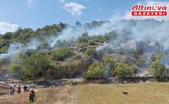 Tokat'ta ormanlık alanda çıkan yangın söndürüldü