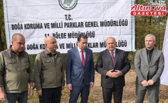 Ünye'de kahverengi kokarcaya karşı doğaya 200 sülün salındı