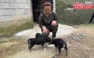 Giresunlu genç çift devlet desteğiyle mandıra kurdu