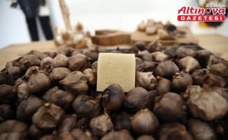 Taşköprü siyah sarımsağından sabun üretildi