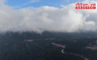 Ilgaz'da çam ağaçlarıyla bütünleşen sis dron ile görüntülendi