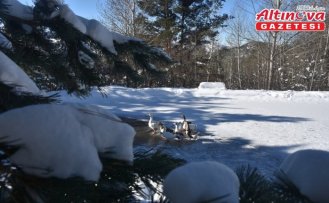 Gümüşhane, Rize ve Giresun'da 99 köye ulaşım sağlanamıyor