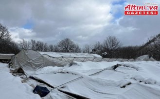 Karabük'te yoğun kar nedeniyle seraların çökme anı kamerada