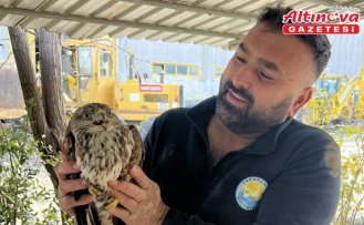 Yakakent'te yaralı halde bulunan şahin koruma altına alındı