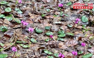 Bolu'da kış ve ilkbahar bir arada yaşanıyor