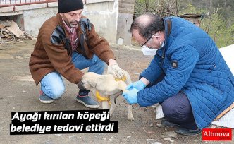 Ayağı kırılan köpeği belediye tedavi ettirdi