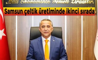 Samsun çeltik üretiminde ikinci sırada
