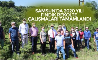 SAMSUN’DA 2020 YILI FINDIK REKOLTE ÇALIŞMALARI TAMAMLANDI
