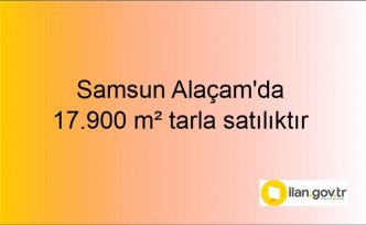 Samsun Alaçam'da 17.900 m² tarla (1/4 hissesi) icradan satılıktır