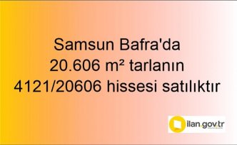 Samsun Bafra'da 20.606 m² tarlanın 4121/20606 hissesi icradan satılıktır