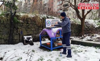 Karadeniz Ereğli'de sahipsiz hayvanlar ve kuşlar için yiyecek bırakıldı