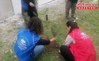 Cide'de fidan dikimi gerçekleştirildi