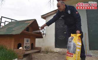 Taşköprü Belediyesi, sokak hayvanları için kedi evlerine mama bırakıyor