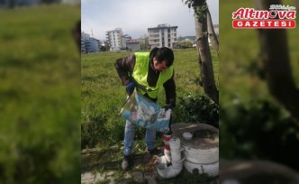 19 Mayıs Belediyesi’nden sahipsiz hayvanlara mama desteği