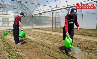 Osmancık'ta okul bahçesine kurulan serada kuşkonmaz yetiştirilecek