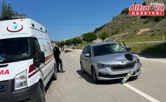 Bayat'ta ineğe çarpan otomobilin sürücüsü yaralandı