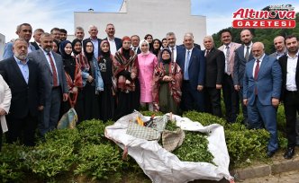 Trabzon'da 2025 yaş çay sezonu kampanyası açıldı