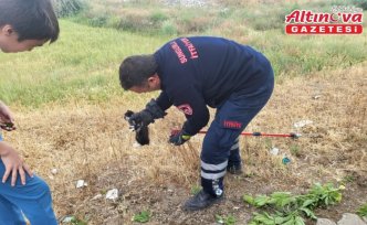 Çorum'da görme engelli yavru kediyi itfaiye kurtardı