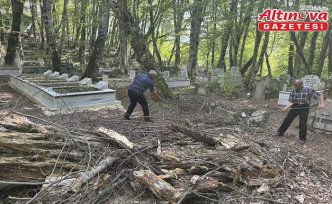 Dal bile almanın uğursuzluk sayılması ormanın korunmasını sağladı