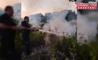 Gerze'de çıkan örtü yangını söndürüldü
