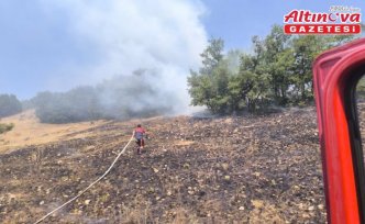 Çorum'da tarlada çıkan yangın ormana sıçramadan söndürüldü