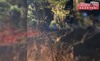 Gümüşhane'de ormanlık alanda çıkan yangın söndürüldü