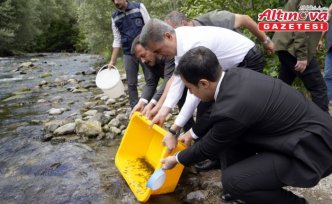 Gümüşhane'deki Çit Deresi'ne 10 bin alabalık yavrusu bırakıldı