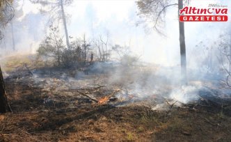 Tokat'ta çıkan orman yangını kontrol altına alındı