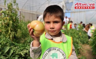 Bayburt'ta özel öğrenciler okul bahçesinde yetiştirilen sebzeleri hasat etti